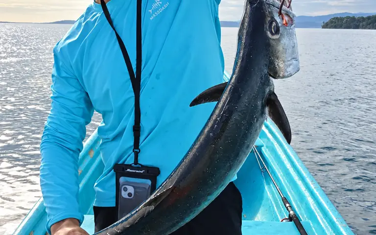 A large fish held up on a light-blue fishing boat